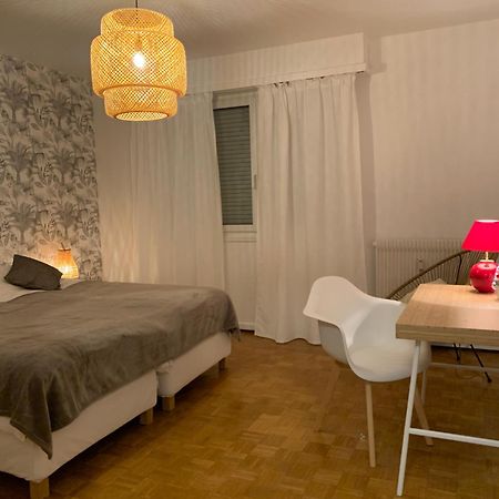 Appartement Centre-Ville Colmar Zewnętrze zdjęcie